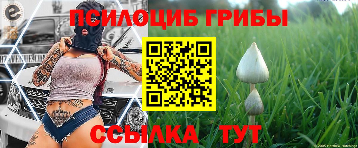 Псилоцибиновые грибы Magic Shrooms Усть-Джегута