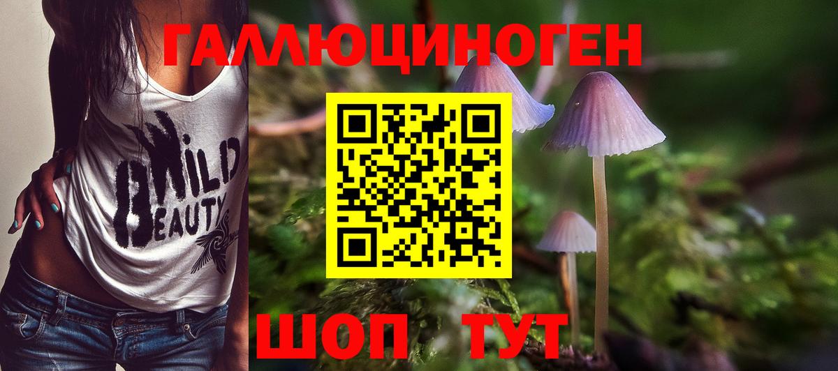Усть-Джегута  Галлюциногенные грибы мицелий  Псилоцибиновые грибы GOLDEN TEACHER  Вход с VPN 